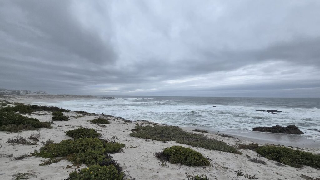 Overcast sky with thick grey clouds over the ocean and rough surf, seen from a dune with beach vegetation in the foreground